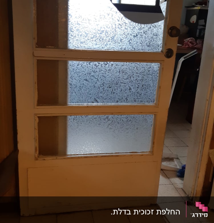 דלת עם זכוכית מחוספסת ודוגמת עלים